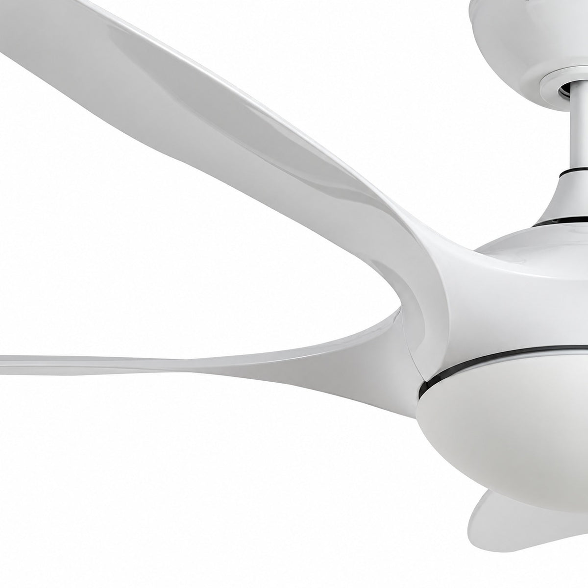 FNC-2819 White ceiling fan detail of the swept blade profile and root.