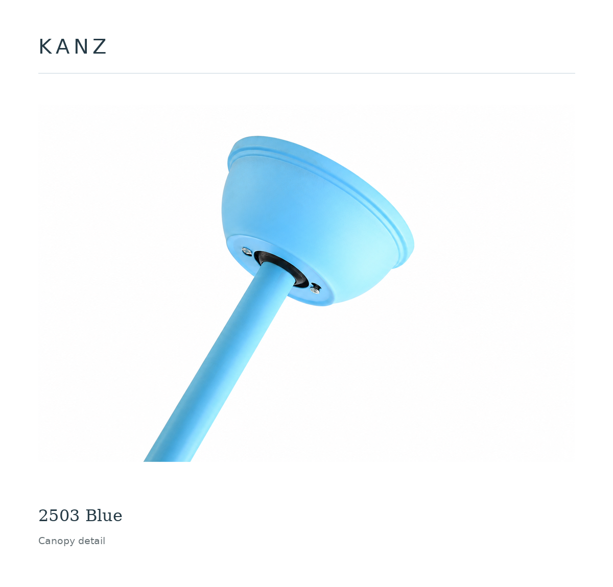 Kanz 2503 Blue — Canopy detail